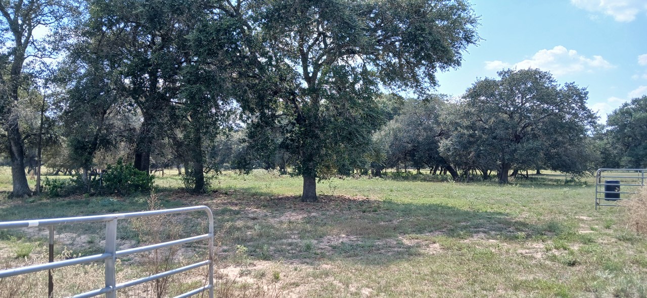 1510 County Road 122 